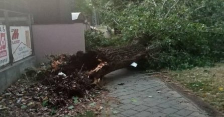 VJETAR ODNIO CIJELU FASADU, čupao drveće i krovove: Pogledajte apokaliptične prizore nevremena u Šapcu