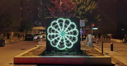 Srebrenički cvijet u sarajevskoj Dobrinji (FOTO)