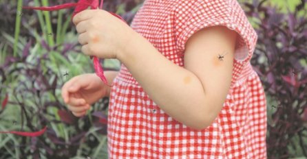 PRIRODNI MELEMI protiv UJEDA KRVOPIJA! Evo šta pomaže kod OTOKA i UPORNOG SVRABA!