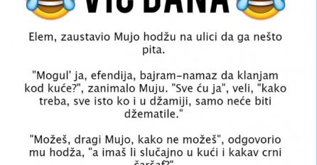 VIC DANA: Mujo i Bajram