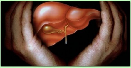 4 STVARI UNIŠTAVAJU JETRU: Jedna navika koju skoro svi imamo je najgora - ODMAH PRESTANITE OVO DA RADITE