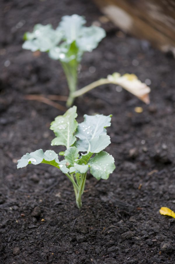 222889-shutterstock-203024320-ff