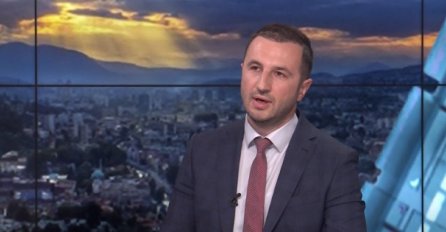 Efendić: Bolje da Inzka pamtimo po nametanju Zakona nego po zabrinutosti