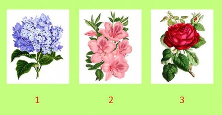 ODABERITE CVIJET KOJI VAM SE NAJVIŠE DOPADA, OTKRIT ĆEMO VAM ŠTA VAS ČEKA NAREDNIH MJESECI: Svima je pogodilo