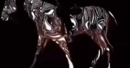 ZA 5 SEKUNDI OTKRIJTE KOJA STRANA MOZGA VAM JE DOMINANTNA: Od toga zavisi i kakva vam je ličnost! (VIDEO)