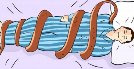 ZMIJA VAM SE POJAVILA U SNU, EVO ŠTA TO ZNAČI: Ovo bi vas moglo iznenaditi