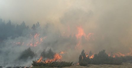 Šumski požari na jugu Turske, troje poginulih i 50 povrijeđenih