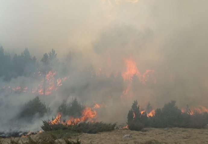 Šumski požari na jugu Turske, troje poginulih i 50 povrijeđenih