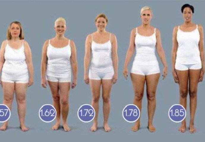 PROVJERITE DA LI STE IDEALNE TEŽINE - OVO JE PROFESIONALNA TABELA odnosa visine i težine: I za žene i za muškarce