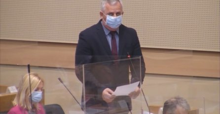 SNSD: Stanić je povrijeđen u porodičnom sukobu koji nema veze sa politikom