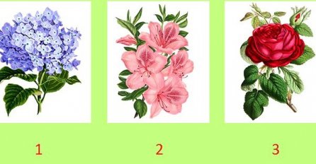 ODABERITE CVIJET SA SLIKE KOJI VAM SE NAJVIŠE DOPADA: Evo šta vas čeka u narednim mjesecima, SVIMA JE POGODILO