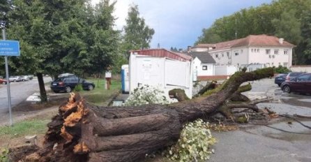 KAO DA ZEMLJOTRES NIJE BIO DOVOLJAN: Nevrijeme poharalo Glinu i Petrinju, drveće padalo po ulicama (FOTO)