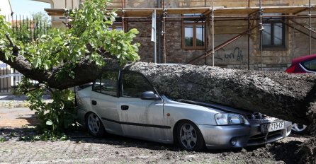 Olujno nevrijeme poharalo region, pogledajte prizore iz Hrvatske: Vjetar čupao drveće