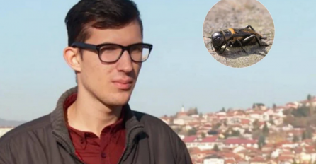 Nevjerovatni Sladić i cvrčak: Slušajući glasanje cvrčaka uspio precizno izračunati kolika je temperatura zraka!