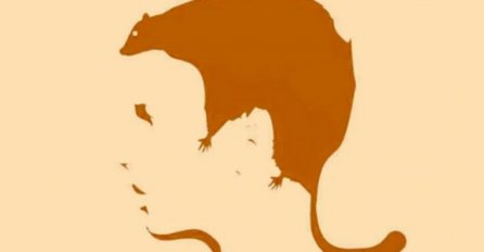 ZABAVNI TEST KOJI JE SVIMA POGODIO! Šta ste prvo vidjeli na fotografiji? ODGOVOR ĆE OTKRITI VAŠE LJUBAVNE PROBLEME 