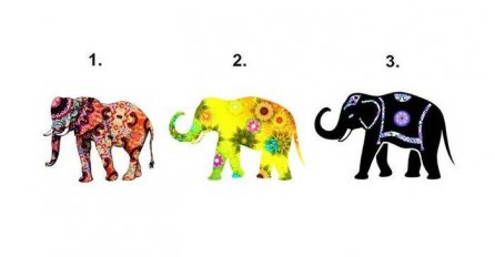 ZNAMO DA FIGURICA SLONA DONOSI SREĆU: Odaberite jednog slona sa slike, OTKRIVA DA LI VAS PRATI LOŠA SUDBINA