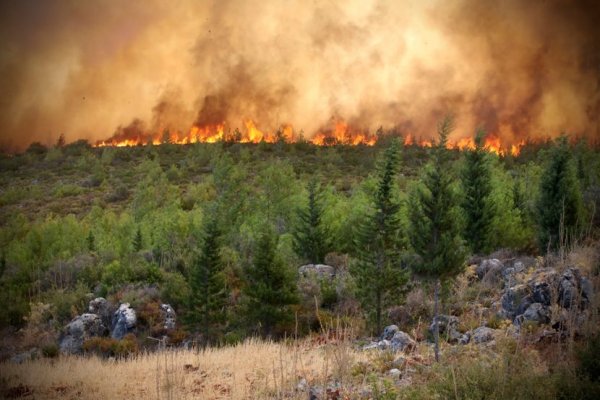 1627933278569-turska-pozari12-830x0