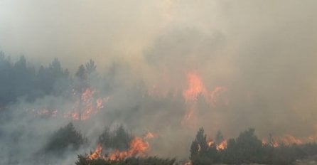 POŽAR SE NE SMIRUJE! Sve gori nedaleko od Atine, građani pozvani da napuste kuće