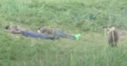 ZADRIJEMALI NA TRAVI, PA SE SMRZNULI OD STRAHA ZBOG NEOČEKIVANOG BUĐENJA: Pogledajte ko im se prišunjao (VIDEO)