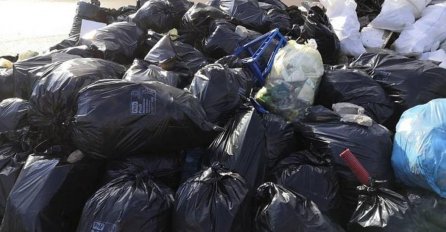 Tanović: Dijaspora nije došla u domovinu da baca smeće