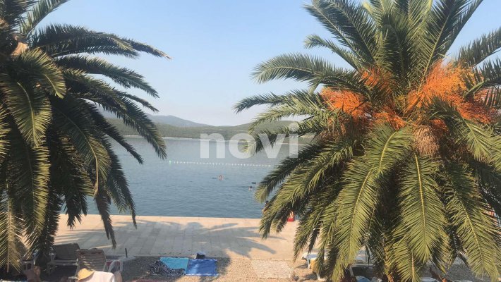 233567505-975985869889351-8800064589105886053-n