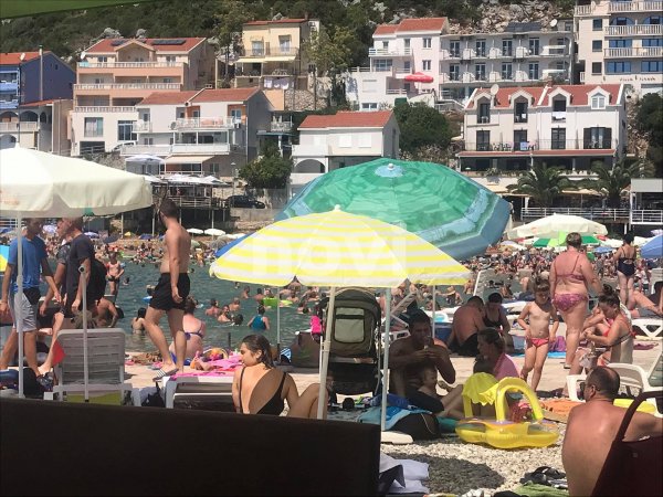 234524118-151018537156719-111320801423736845-n