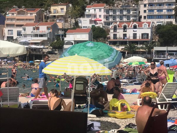 233112720-343857783901375-8432511207072284257-n