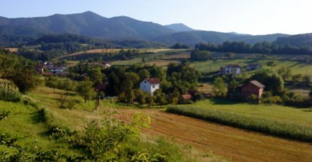 Potukle se starije žene, umiješali se sinovi: Gospa udarila Cvijetu zbog grmlja u međi