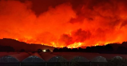  "OVO JE APOKALIPSA" Požari u Grčkoj se ne smiruju, poginulo dvoje ljudi