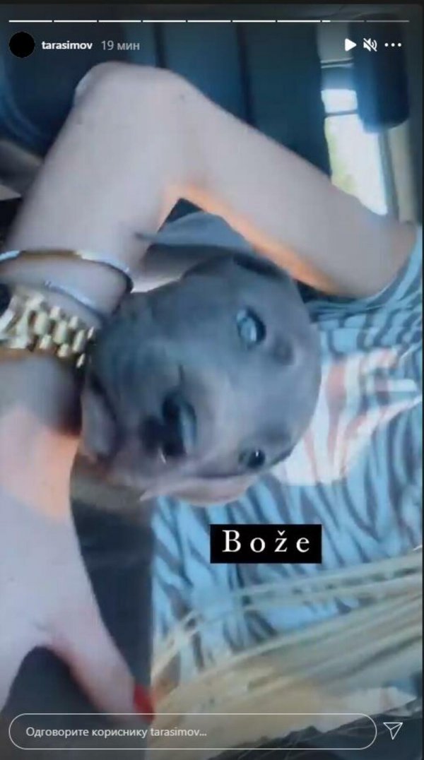 2671919-screenshot-4-ff