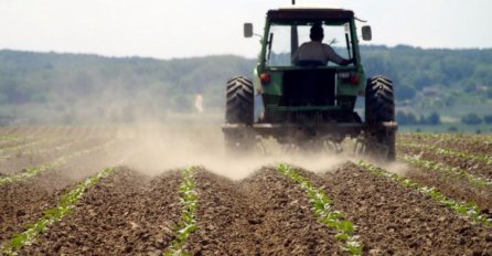 Poljoprivreda nije izdržala visoke temperature: Hrana će sigurno poskupiti