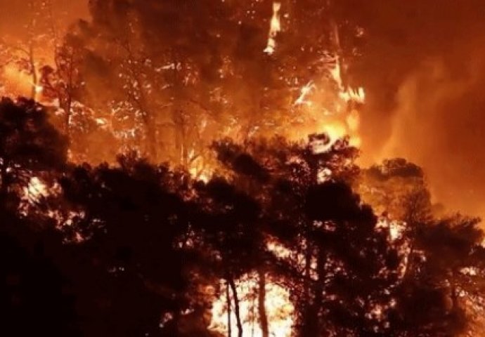 Apokaliptične scene iz Grčke: Hiljade vatrogasaca gasi vatru, brojna mjesta evakuirana