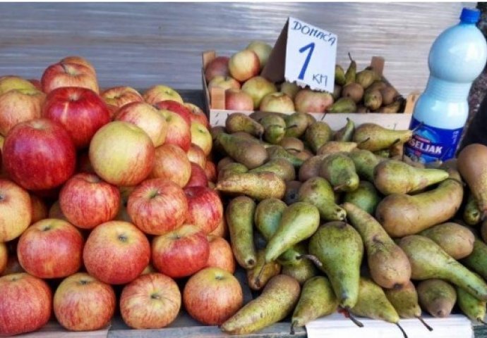 Ni za 100 KM dnevnice voće nema ko brati, zemljišta propadaju