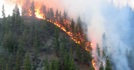 Gori i u našem dvorištvu: Na području Hercegovine aktivna su tri požara, sve raspoložive snage su na terenu