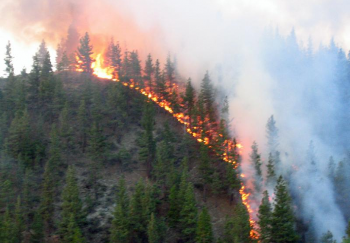 Gori i u našem dvorištvu: Na području Hercegovine aktivna su tri požara, sve raspoložive snage su na terenu