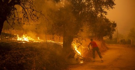 Pojavila se snimka iz zraka izgorenih područja u Grčkoj (VIDEO)