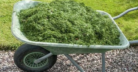 NAJGORE RJEŠENJE JE BACITI: Evo na koja 4 fantastična načina možete iskoristiti pokošenu travu!