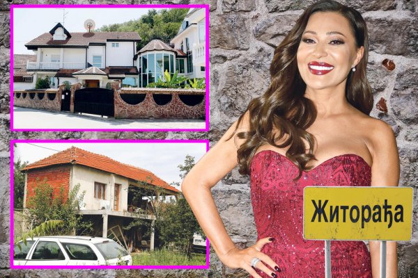 2673585-ovo-su-cecine-kuce-foto-nikola-andjic-shutterstock-ataimages-copy-ls