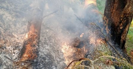 Požar kod Stoca se proširio, ide prema naseljima