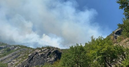 Komšić poslao pismo NATO štabu, traži helikoptere za gašenje požara u BiH