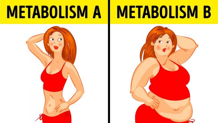 slow-metabolism