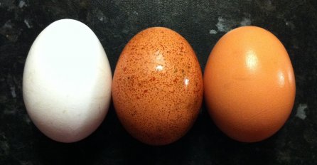 STRUČNJACI UPOZORAVAJU: Ako vidite ovo na ljusci jajeta, ODMAH ga bacite!