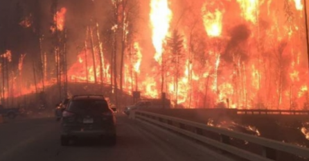 Stručnjaci: Ako se nastavi ovako, nećemo opstati kao vrsta