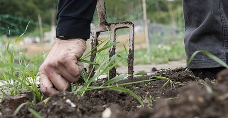 ČEST RAZLOG ZAŠTO BILJKE U BAŠTI NE NIČU ILI SE OSUŠE: Prost način da provjerite da li je zemljište loše!