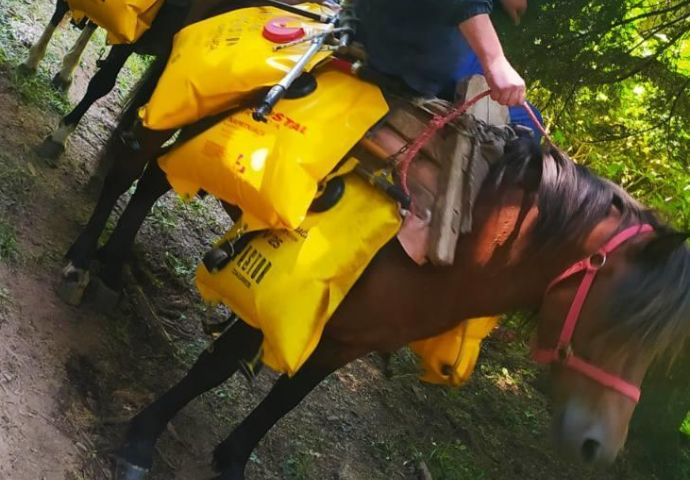 Posljedice Dodikove samovolje: Na Palama vodu za gašenje požara dopremaju konjima