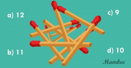 MOZGALICA KOJA JE SVE NALJUTILA, SVAKI PUT DRUGI BROJ: Koliko vi šibica vidite na ovoj slici?