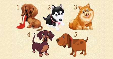 ZAŽELITE JEDNU ŽELJU I ODABERITE PSIĆA KOJI VAM JE NAJSLAĐI: Saznajte hoće li se vaša želja ostvariti!