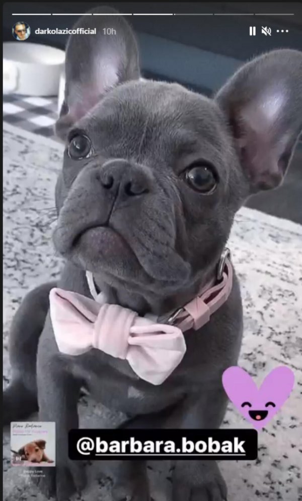 2680939-darko-lazic-2-ff