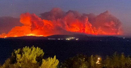 Grčki vatrogasci bore se protiv šumskog požara u blizini Atine
