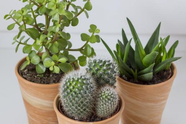 fbbab258b2ad90bd30a1